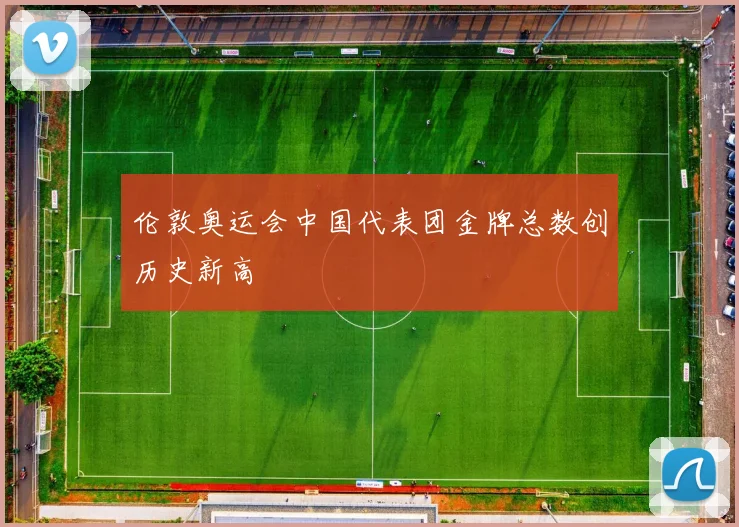 伦敦奥运会中国代表团金牌总数创历史新高