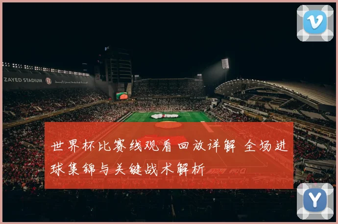 世界杯比赛线观看回放详解 全场进球集锦与关键战术解析