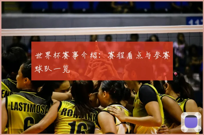 世界杯赛事介绍：赛程看点与参赛球队一览